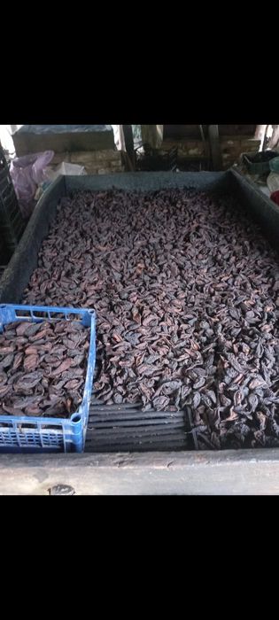 Грушка сушена 60 грн/кг.