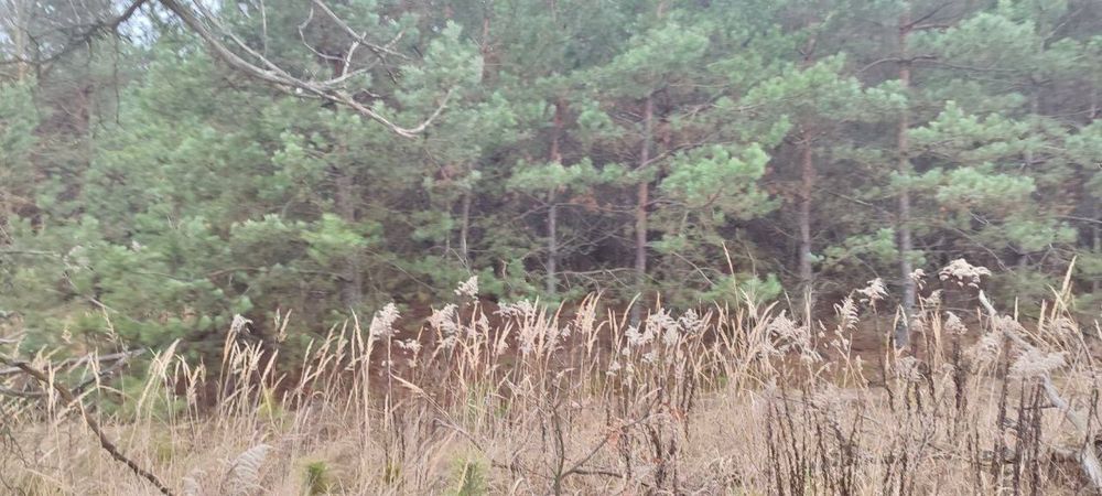 Земельна ділянка 17 Га! Червона Слобода!