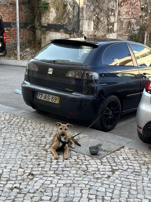 SEAT ibiza 6L fr livrete