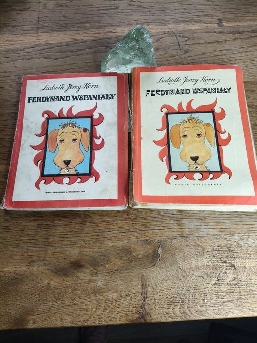 Książka dla dzieci Ferdynand wspaniały ⁵⁸