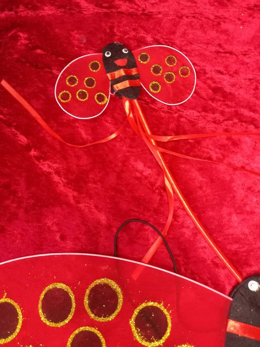 Костюм сонечка божої коровки бедрика бджілки бджола на свято весни