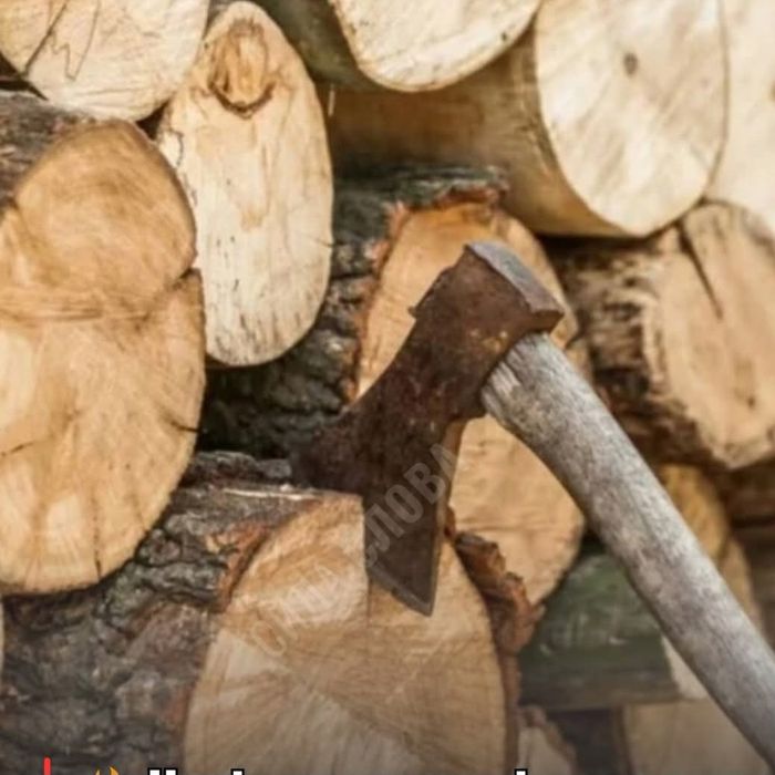Дрова дуб,граб, акація,береза, сосна
