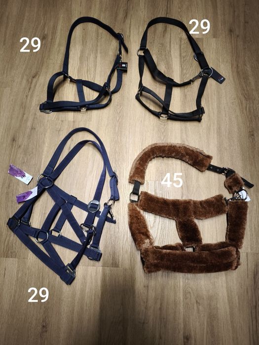 Nowy COB Kantar Covalliero, HKM, QHP