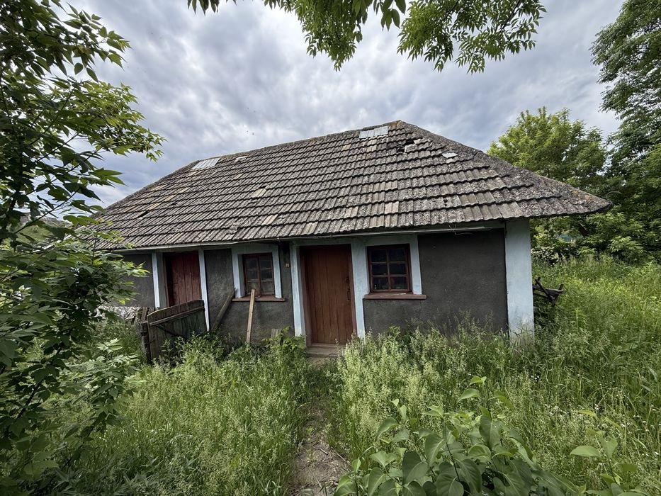 Продам будинок с. Кривчик