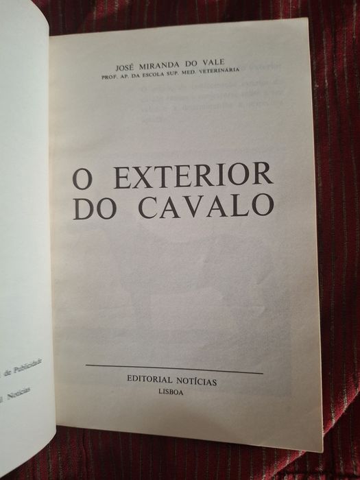 O exterior do Cavalo hipismo equitação