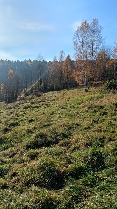 Działka budowlana w górach Sucha Beskidzka - View 4
