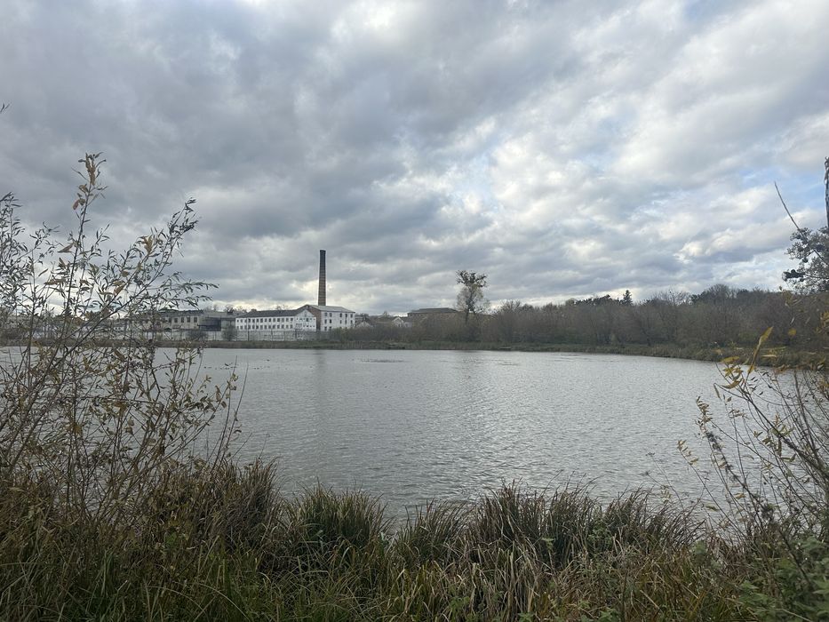 Продам будинок біля озера в Городищі