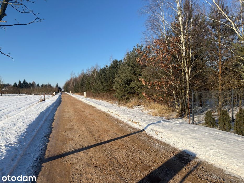 Działka, Leśne Odpadki