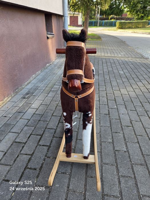 Konik na biegunach