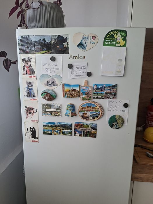 Lodówka amica 145
