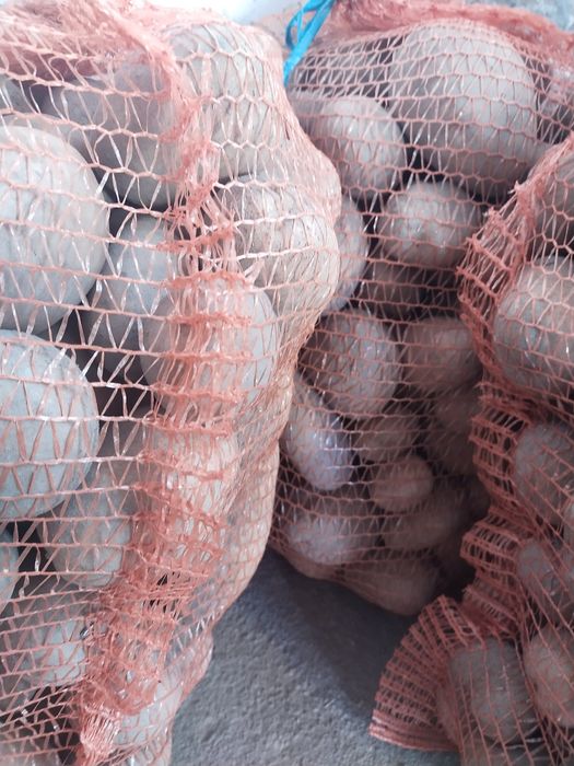 Ziemniaki 15kg worek