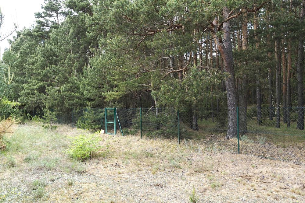 Dzikowo Chrapy działka przy lesie z warunkami zabudowy - uzbrojona i ogrodzona – pohled 4