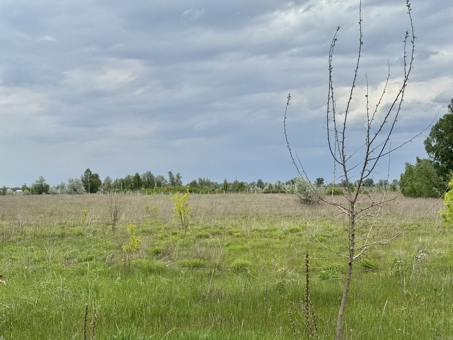 Земельна ділянка фасадна! 3га!! Бориспіль!