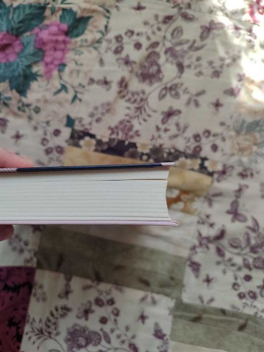 Дівчина Онлайн, книга 1, Зої Заґґ