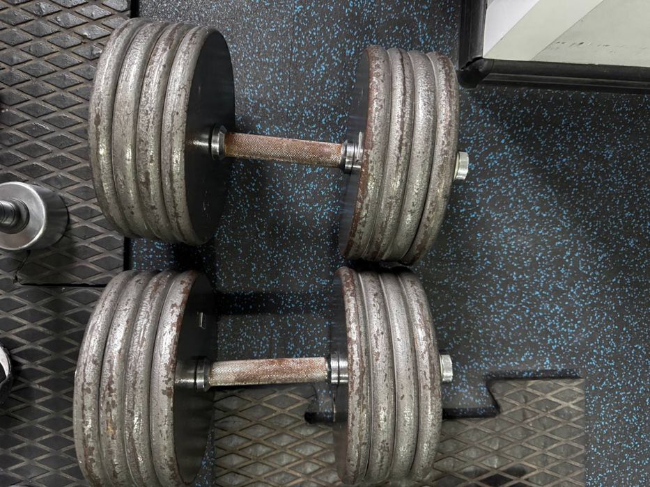 гантели cassal sweden 50 кг