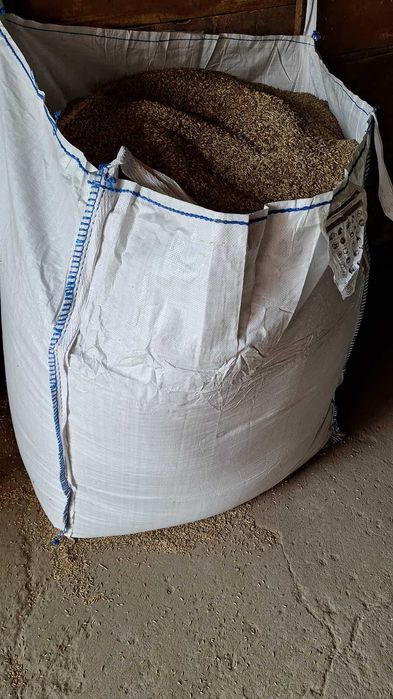 owies zamiast peletu do palenia sprzedaz na bigbagi lub worki Dowóz