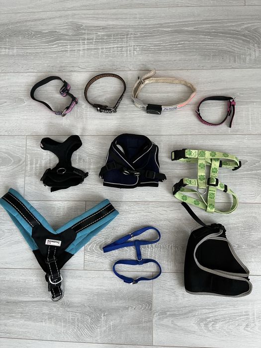 НОВИНКИ! поводки, шлейки Одяг для собак і котів