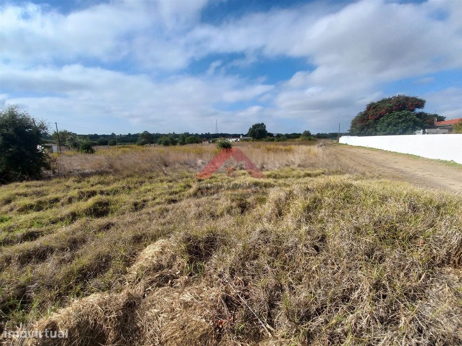 Terreno Rústico  Venda em Cartaxo e Vale da Pinta,Cartaxo