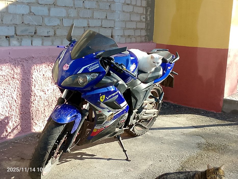Продам Viper f2 250 2022