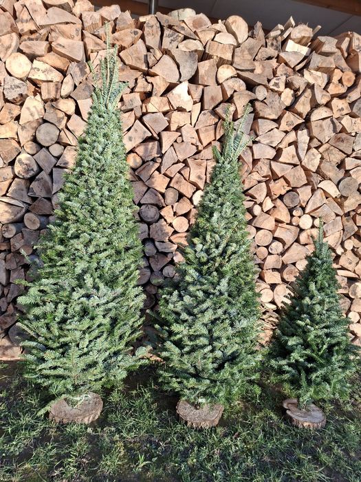 Ялинки плетені!!