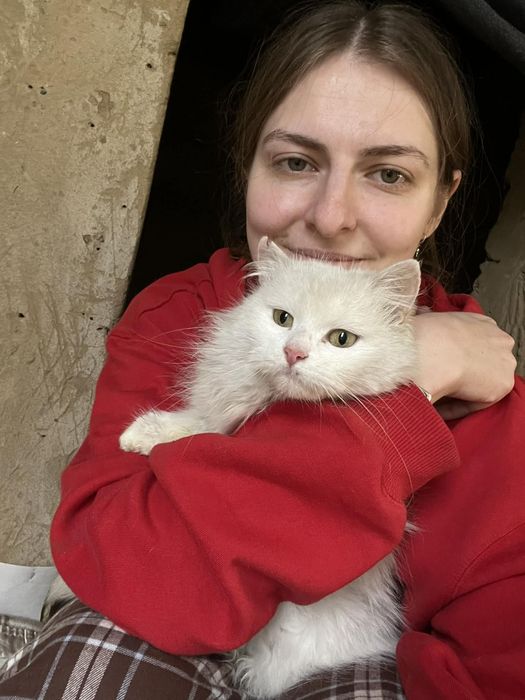 Білосніжна кицюня