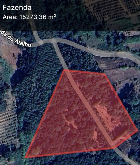 Terreno rústico e com Sobreiros