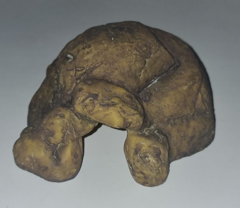 Укрытие exoterra