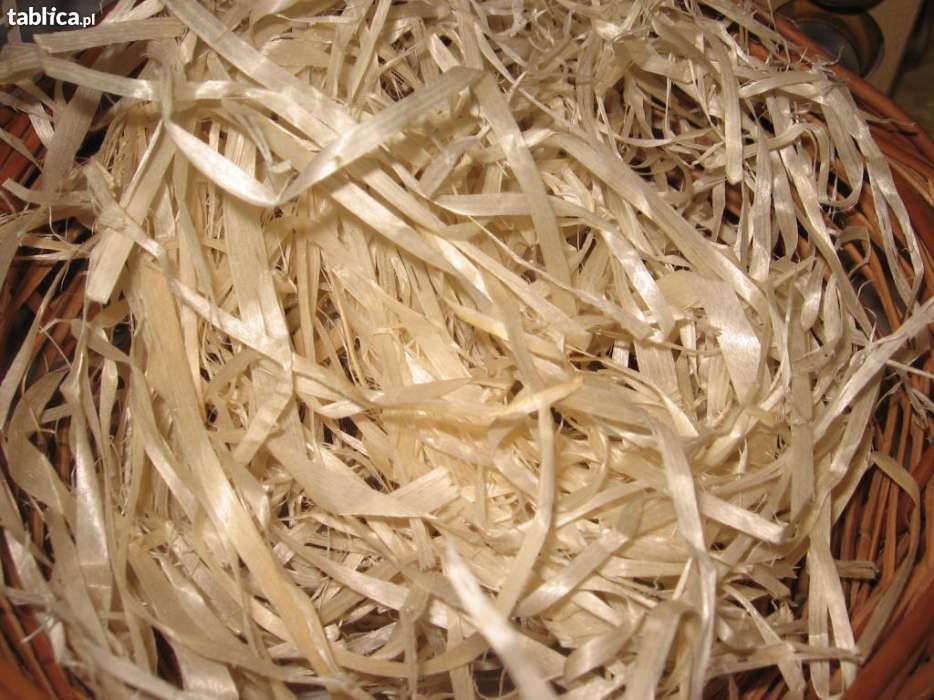 Wełna drzewna - mszenie