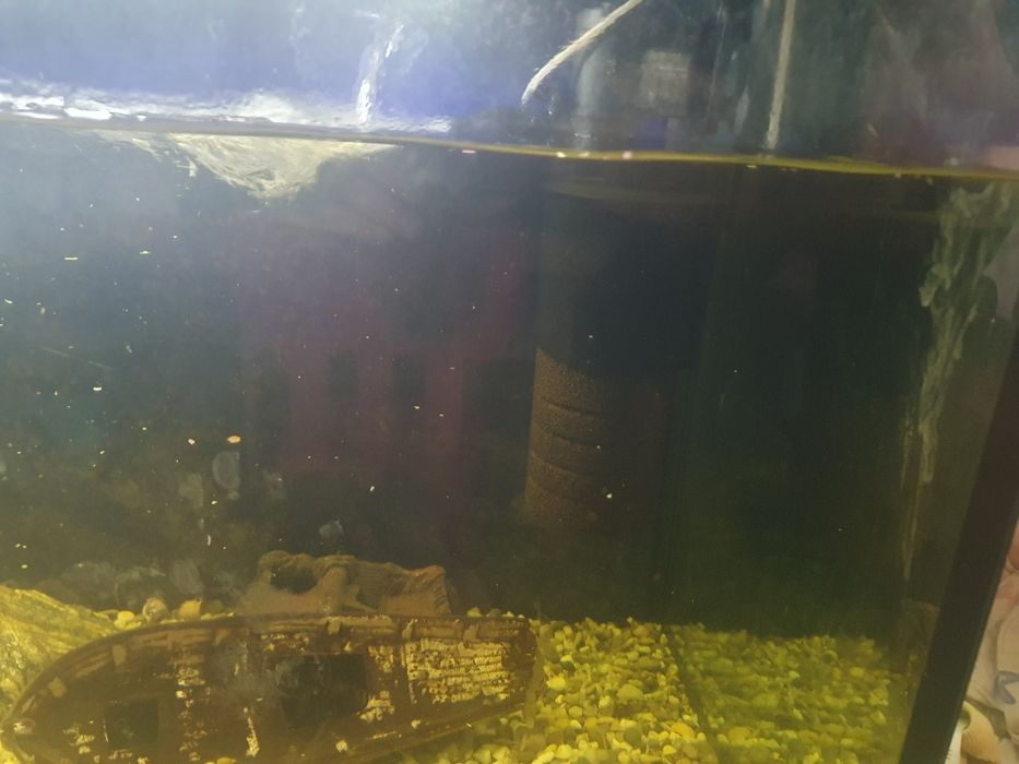 Spszedam akwarium 450 l