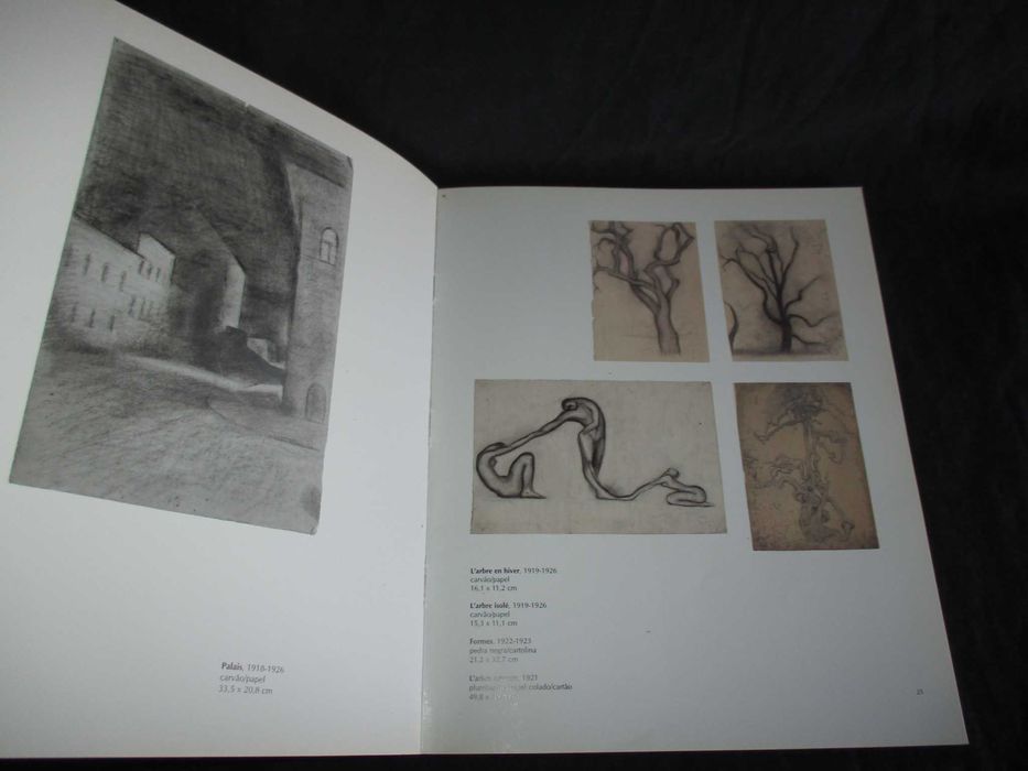 Livro Centenário de nascimento de Arpad Szenes Gulbenkian 1997