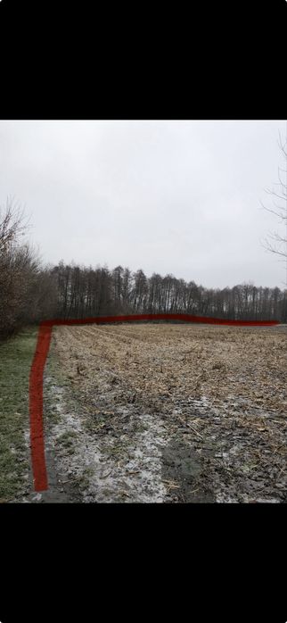Продам земельну ділянку с. Квітневе Житомирської обл.