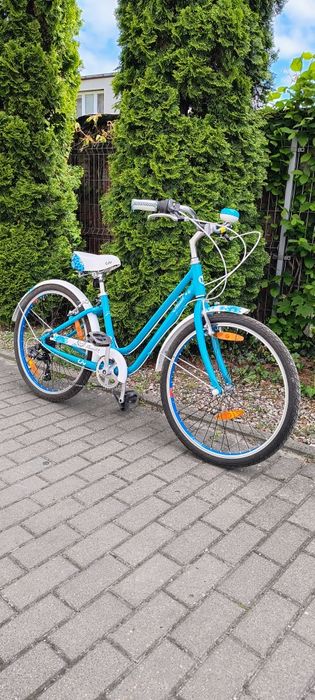 Rower Giant LIV Flourisch 24