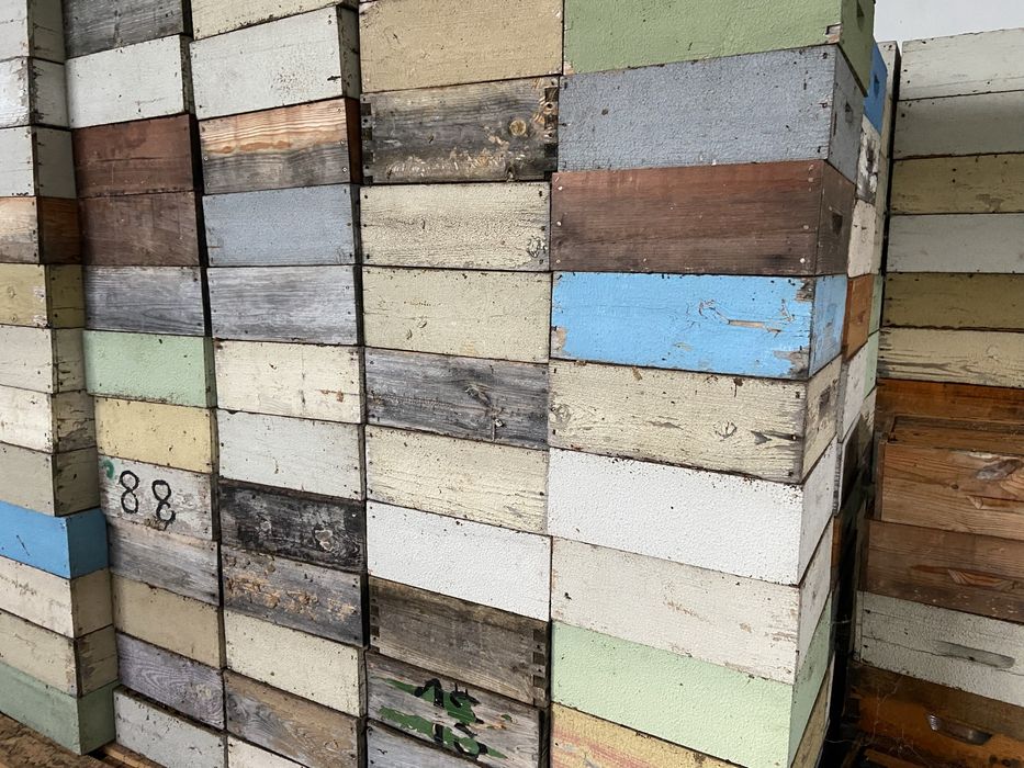 Alças lusitana  com cera puxada