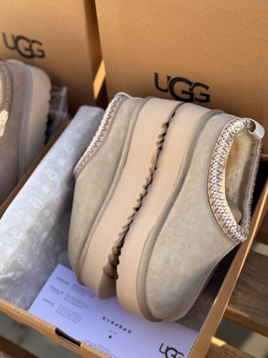 Ugg tasman tazz бежеві угги уггі