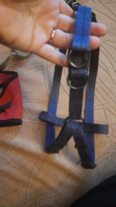 Шлейка ,поводок для собак