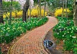 jardineiro, aplicador produtos fitofarmacêuticos