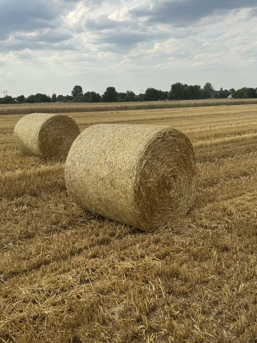 Słoma jeczmienna,belka 120