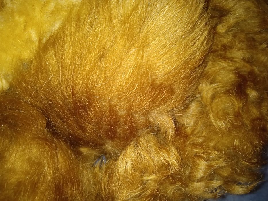Мех натуральный ламы