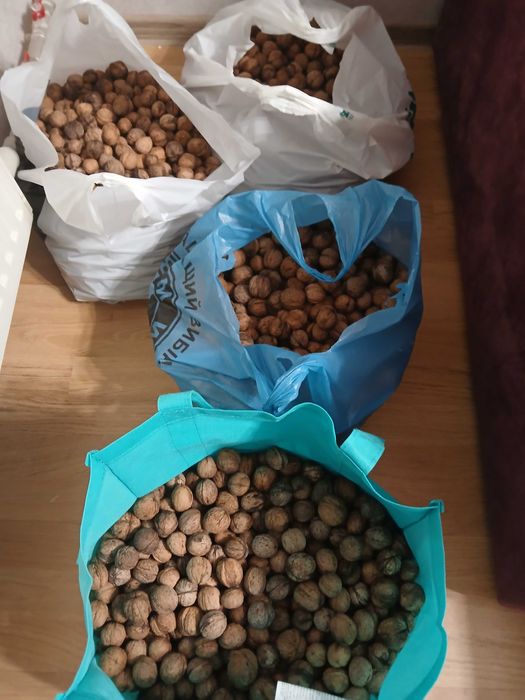 продам грецкий орех