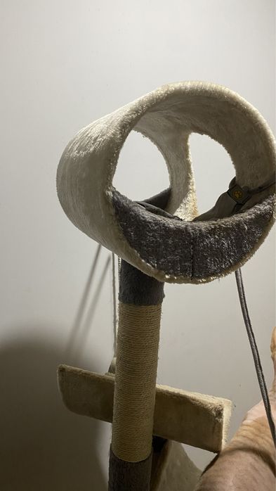Arranhador de gato