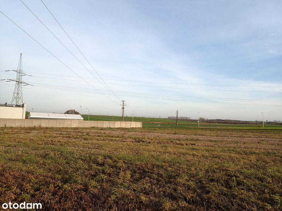 Widziszewo 22.957 mkw, zab: Mieszkaniowa, Usługi, Produkcja - Widok 4