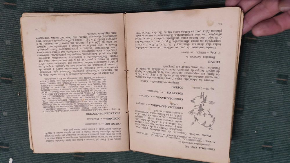 Medicina pelas plantas - Dr. Oliveira Feijão