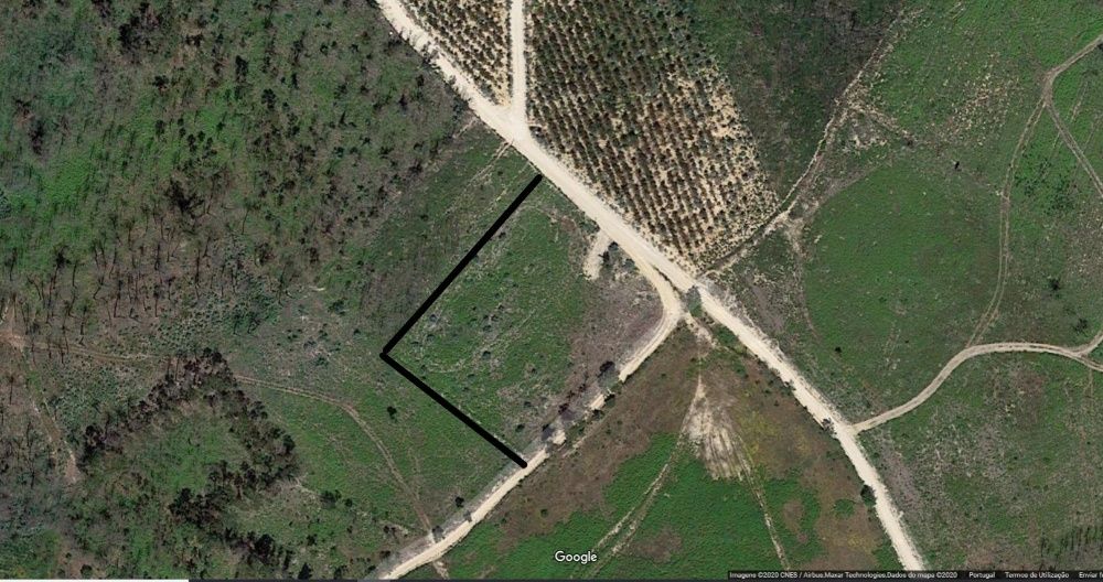 Terreno florestal com boa localização em Nelas