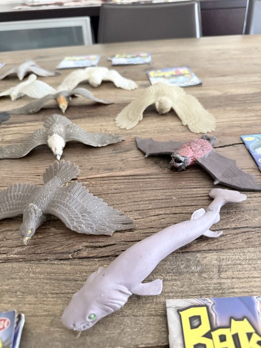 15 animais da Falcons, Bats, Sharks & Co