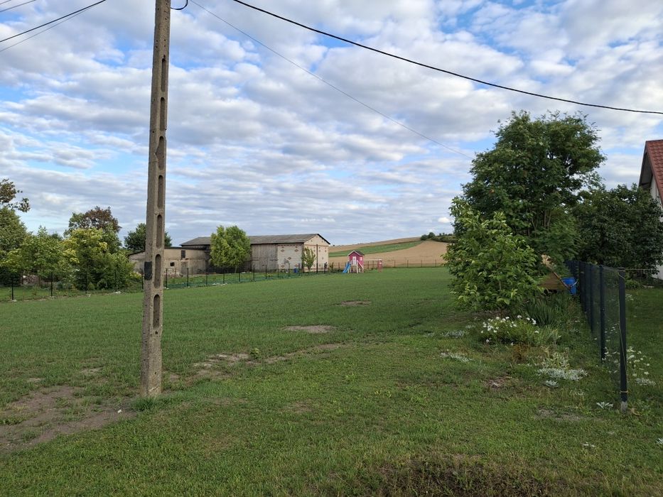 Dzialka 30ar, Białopole, WZ - Widok 3