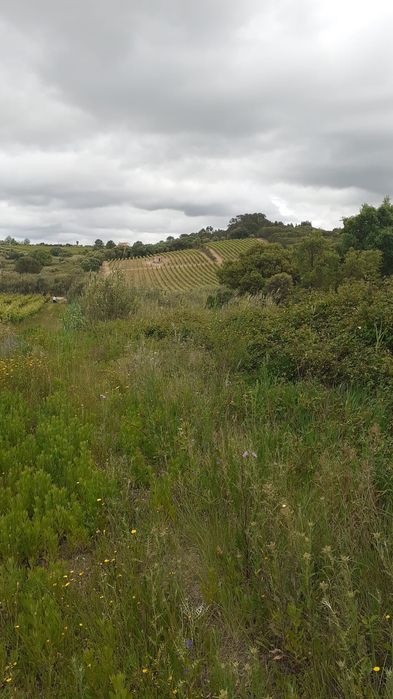 Vendo terreno Zona Azambuja