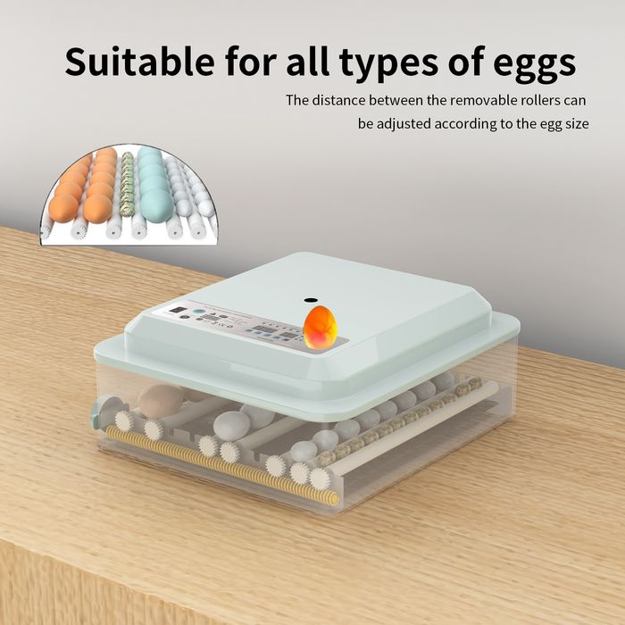 [NOVO] Incubadora/Chocadeira automática 36 ovos *Portes Gratis Portuga