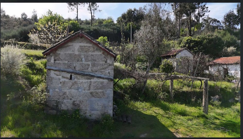 Quinta a venda Vila Caiz Amarante