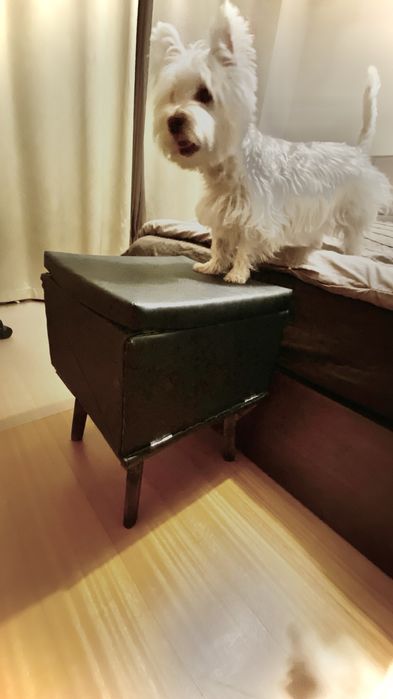 Banco escada / rampa para cães