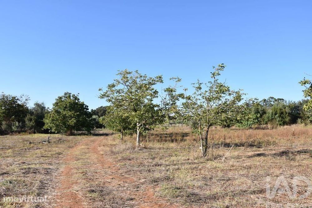 Terreno para construção em Areias e Pias de 8120,00 m2